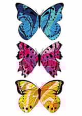 Butterfly Trio created by Pink & Peach