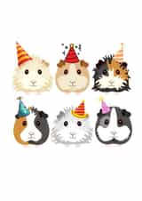 Guinea Pigs in Party Hats created by ByNatalieAnne