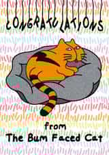 Bum Faced Cat Congratulations created by Sugarybenny