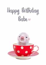 Happy Birthday Babe Card created by Yamaste Art