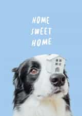 Cute Collie New Home Card - Dog - Home Sweet Home created by Lillehammer Creative