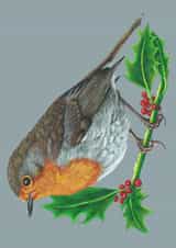 Christmas Robin On Holly 1001 created by Wild Natured