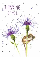 Thinking of you greeting card created by Splatterworks