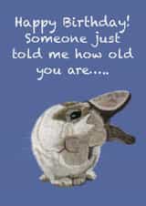 Judgemental Bunny Birthday Card created by The Warren Creations