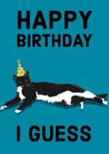 Grump cat birthday created by Designs by Elena