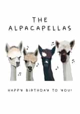 Funny Alpaca Birthday Card - The Alpacapellas Happy Birthday to you! created by badgerbee design