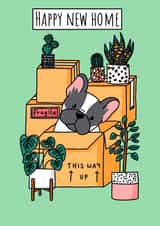 Cute French Bulldog New Home Card - House Plants - Happy New Home created by Natalie Tuck