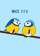 Nice tits anniversary card created by Sweet B Designs