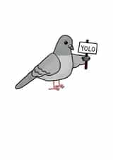 The YOLO Pigeon Any Occasion Card created by Random.Betty