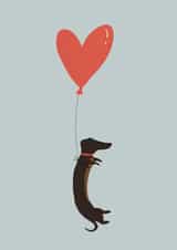 Sausage dog love card created by Shannon Castleton