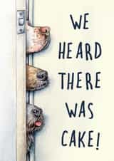 Funny Birthday Card - Dogs - Heard There Was Cake created by Bewilderbeest