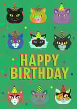 Cats in Hats Happy Birthday created by Catterbox
