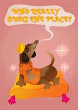 Who owns the place Dachshund card created by Hannah Hibbert