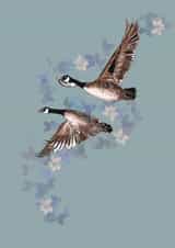 Wildlife greetings card 1000 created by Lorna Ellen Photos