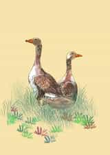 Wildlife greetings card 1001 created by Lorna Ellen Photos