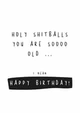 Holy Shitballs You Are So Old, Funny Birthday Card. Old Age Birthday created by Basic Bitch