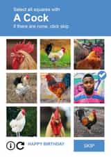 Personalised Birthday Photo Card created by Paul Stevens - Cock Verification - Funny Birthday Card