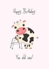 Cute Old Cow Birthday Card created by Crafty Pig Studio