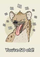 Laughing Hyena Card created by Sam Birch