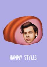 Hammy Styles Birthday Card created by Amy Illustrates