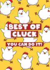 Good Luck Card - Exam Test - Funny Chicken - Best of Cluck - You Can Do It created by Bev O'Connor || @oconnordesign