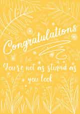 Congrats, stupid! created by Anneka Else