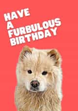 Have a Furbulous Birthday - Greeting Card created by The Daft Doodle Co.