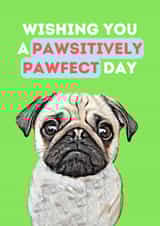 A Pawsitively Pawfect Day - Greeting Card created by The Daft Doodle Co.