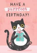 BIRTHDAY WISHES FROM THE CAT. created by Dinky Rouge