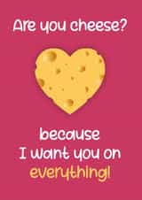 Are you cheese? created by Chubby Sparrow
