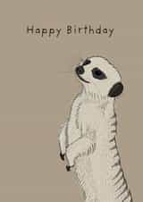 Happy Birthday Meerkat Card created by Lisa Swift Illustration