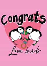 Congratulations love birds created by Sarah Foll