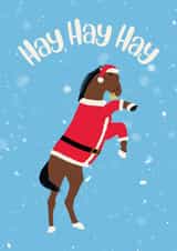 Funny horse Santa Christmas card created by suzcreate