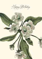 Classic Flower Blossom Birthday Card created by Makers