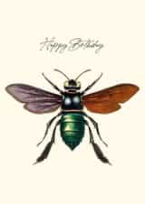 Painted fly birthday card created by Makers