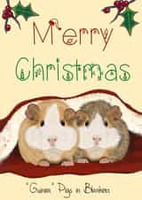 Merry Christmas “Guinea” pigs in blankets created by The Warren Creations