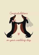 Cute sausage dog wedding day congratulations card created by SARAH WRIGHTSON DESIGN