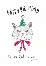 Happy Birthday Grumpy Cat Card created by Big Pencil Prints