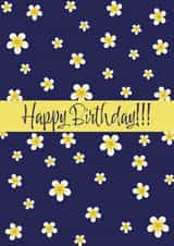 Happy Birthday created by Maria McGregor