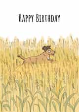 Dog in Field Birthday Card created by Send Salutations