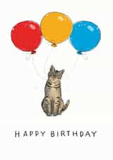 Cute Birthday Card for the Cat loving person in your life created by Have a Gander