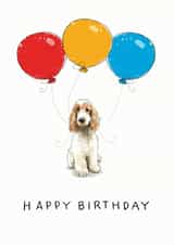 Cute Birthday Card for the Cocker Spaniel lover in your life created by Have a Gander