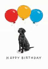 Cute Birthday card for the labrador lover in your life created by Have a Gander