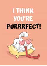 Friendship, Love Card - I think you are purrr-fect! created by JoyGreets