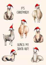 Cute Alpaca themed Christmas Card! Alpacas in santa hats! created by Poppy & Mabel