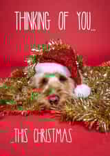 Thinking of You At Christmas Cockapoo Card created by The Yorkshire Pawtrait Co.