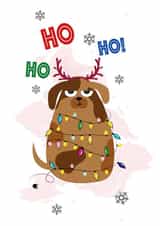 Cute Christmas Card – Grumpy Dog – Ho Ho Ho created by daminidesigns