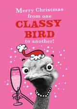 Funny Bird Classy Bird Friend Christmas Card created by Pink wink