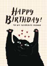 Happy birthday! to my favourite human- cute cat giving a hug created by Six bunny ears