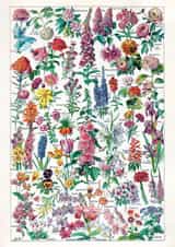 Any Occasion Flowers Card - Floral, Botany, Garden - Friendship, Thinking of You created by eo design & photo